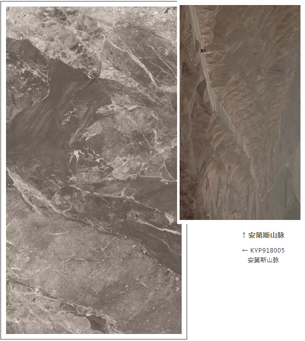网信快3·(中国游)官方网站