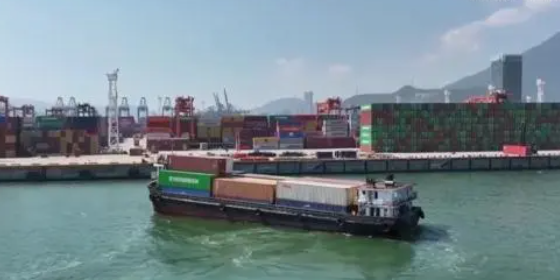 国内海运，内贸集装箱海运收费全解析！