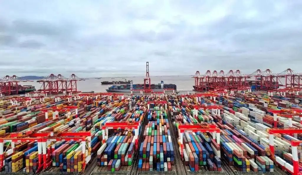 172395TEU！上海港单昼夜箱量创新高