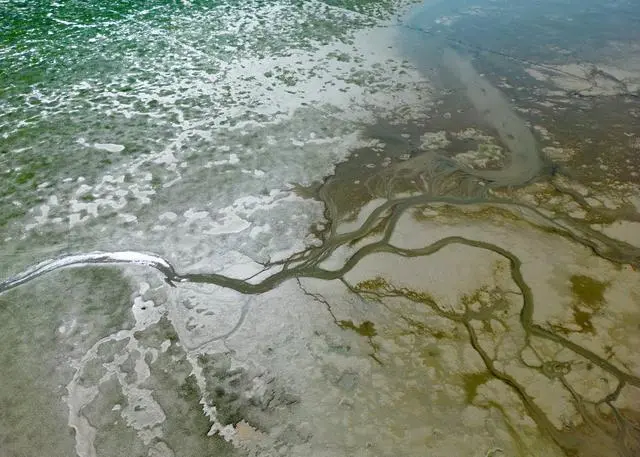 长江流域干旱！长江海运航路大幅收窄，货船减载