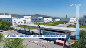		周育先做客央视对话：选取三个工业坐标讲述怎样打造“栋梁之材”_责任撒播_优德88集团有限公司	