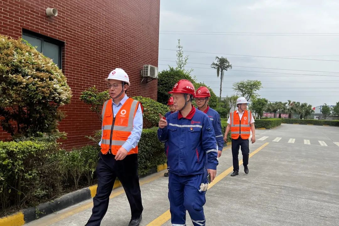 		决战四序度│西南水泥：“党建向导员制”的刷新立异之路_市场绩效_优德88集团有限公司	