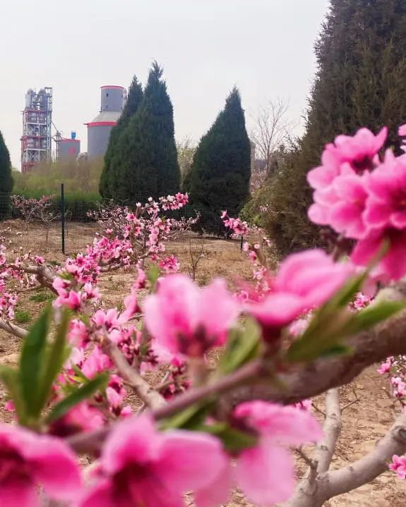 		漂亮中国⑨丨优德88集团“漂亮中国行动月”（宁夏青铜峡站）运动顺遂举行_员工关爱_优德88集团有限公司	