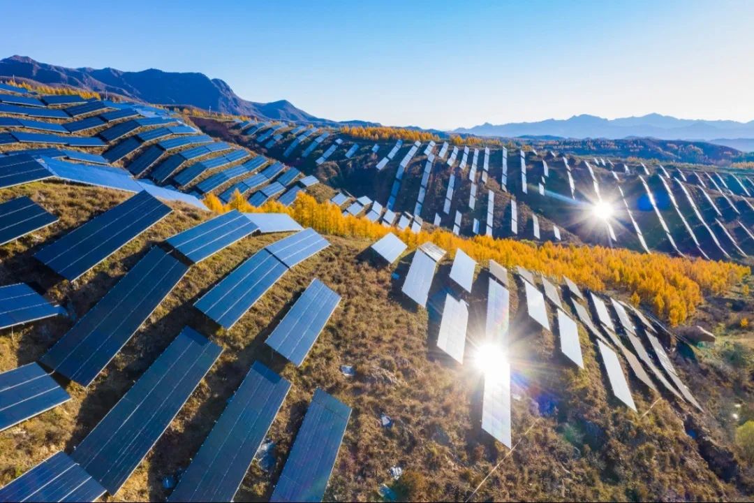 		信心2022 | 凯盛科技：传承刷新立异基因，，坚定不移跑好跑赢“3+1”战略赛道_企业公民_优德88集团有限公司	
