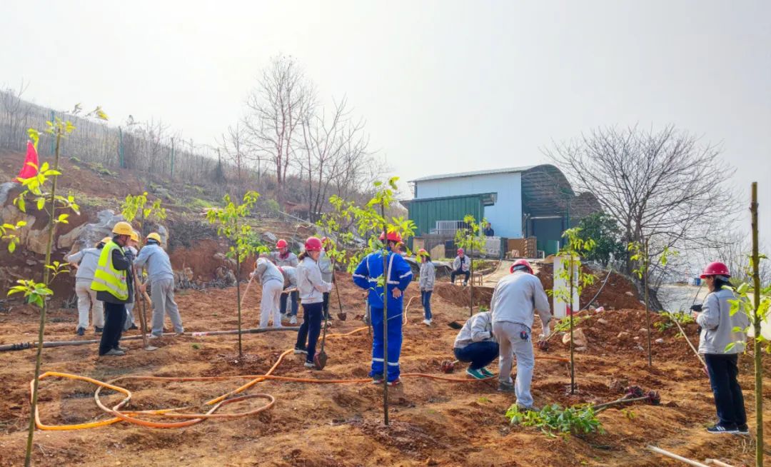 		植树节丨优德88集团“植”子之手，，，，，，共“植”未来_企业公民_优德88集团有限公司	