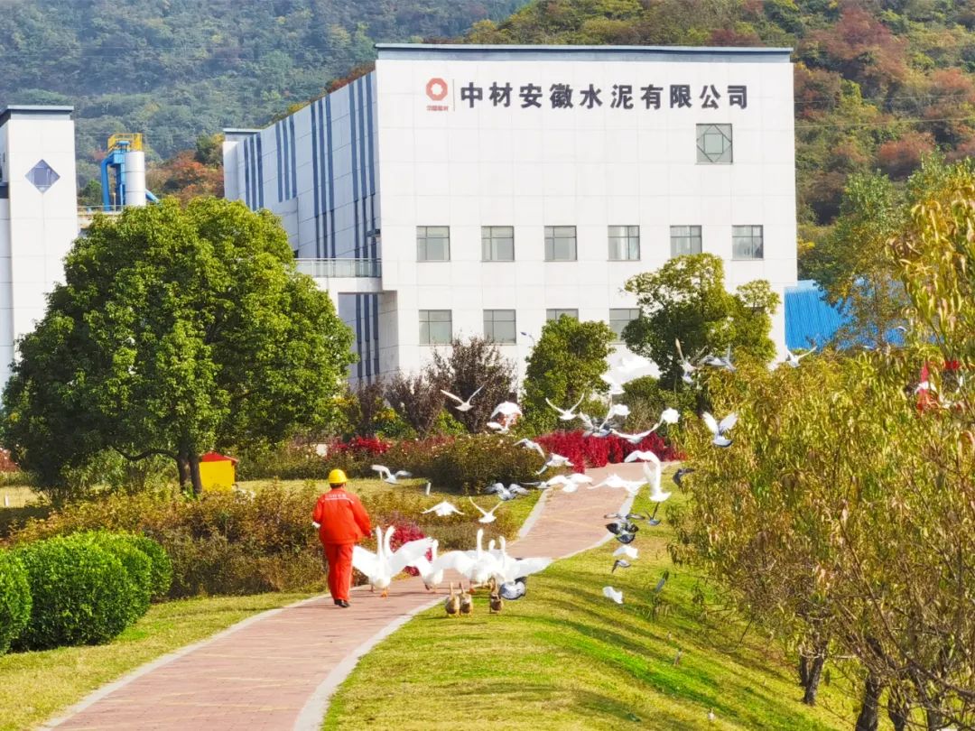 		优德88的秋景美如画（二）_图片_优德88集团有限公司	