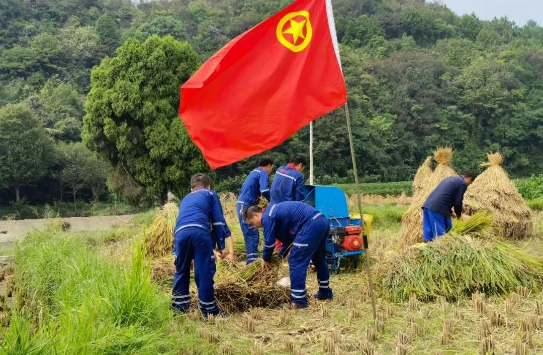 		办实事 暖人心 |西南水泥：贴近民生民意，，，，，彰显人文眷注_故事_优德88集团有限公司	