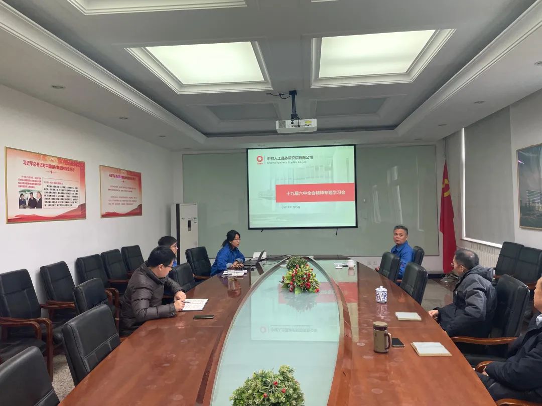 		中材高新全级次企业深入学习贯彻十九届六中全会精神_十九届六中全会_优德88集团有限公司	
