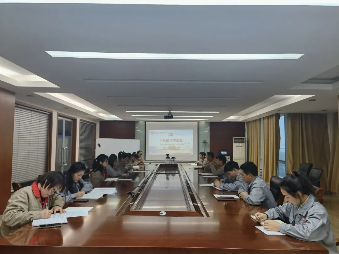 		中材高新全级次企业深入学习贯彻十九届六中全会精神_十九届六中全会_优德88集团有限公司	
