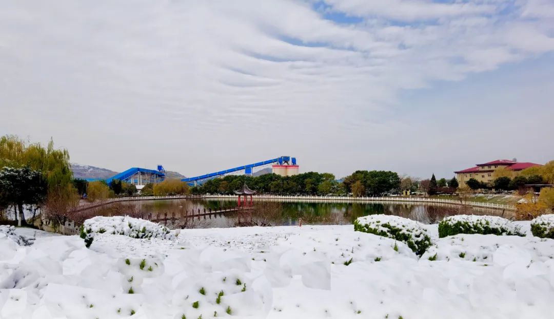 		雪花飘飘，，，，，，一起来浏览建材小同伴镜头下的漂亮雪景吧！_图片_优德88集团有限公司	