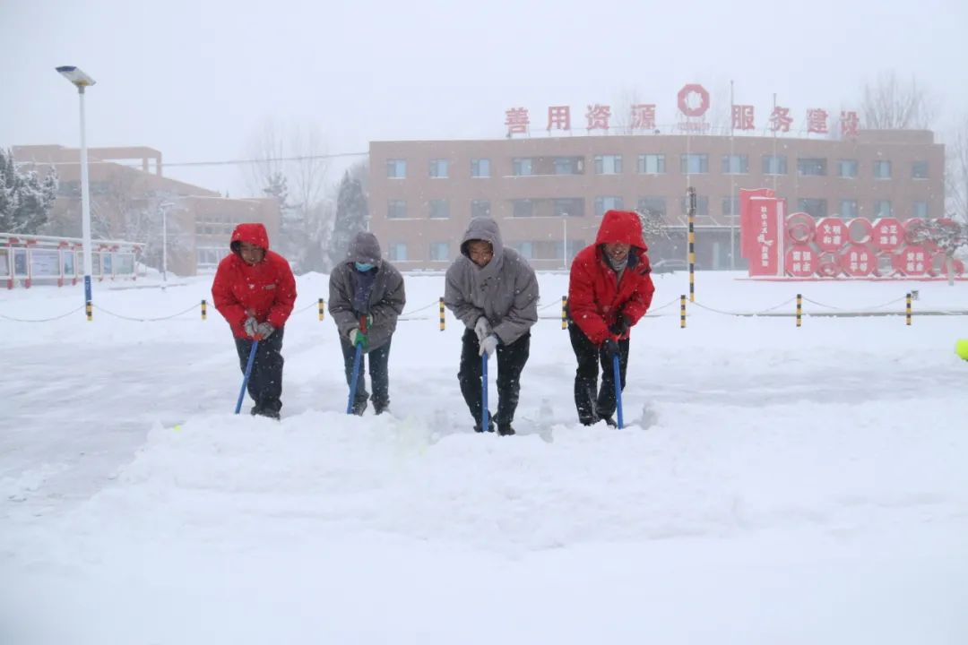 		雪花飘飘，，，，，，一起来浏览建材小同伴镜头下的漂亮雪景吧！_图片_优德88集团有限公司	