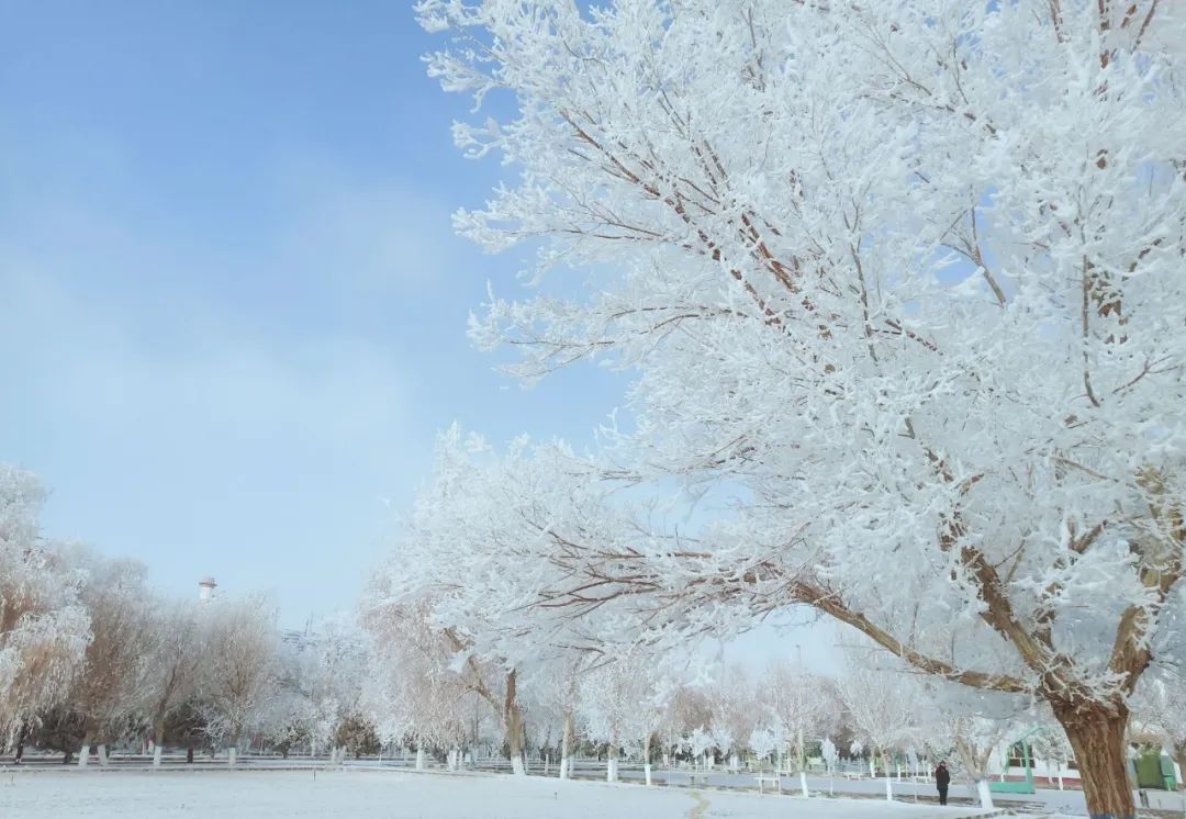 		雪花飘飘，，，，，，一起来浏览建材小同伴镜头下的漂亮雪景吧！_图片_优德88集团有限公司	