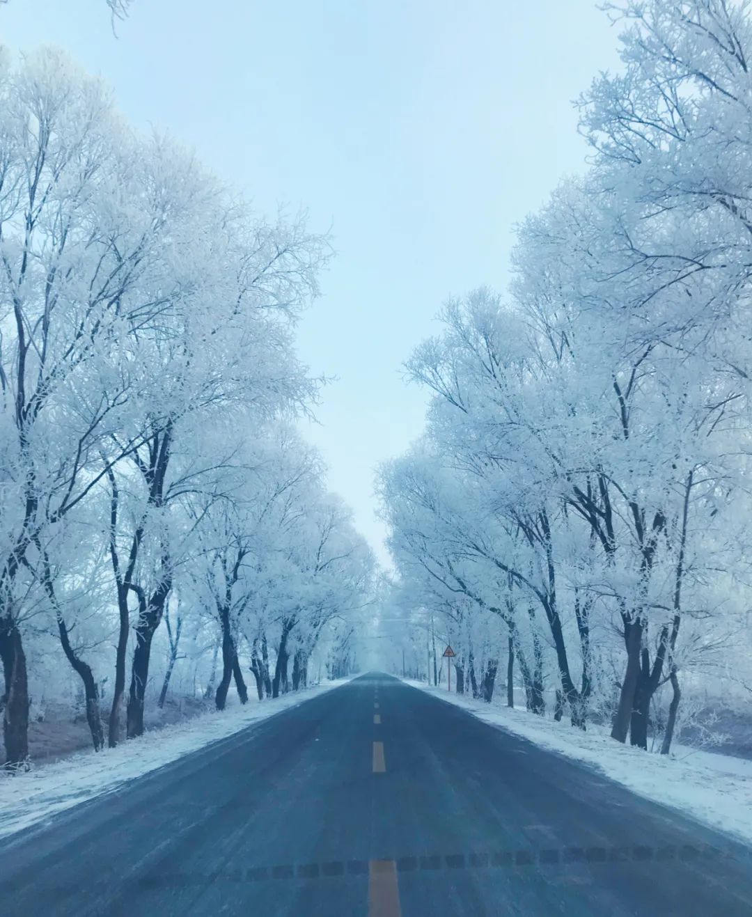 		雪花飘飘，，，，，，一起来浏览建材小同伴镜头下的漂亮雪景吧！_图片_优德88集团有限公司	