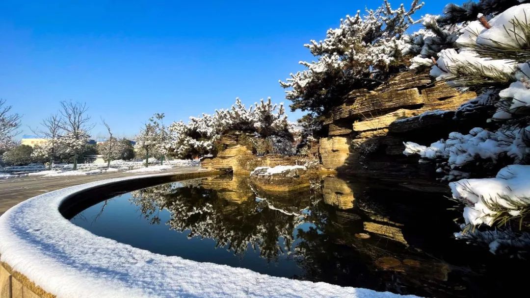 		雪花飘飘，，，，，，一起来浏览建材小同伴镜头下的漂亮雪景吧！_图片_优德88集团有限公司	
