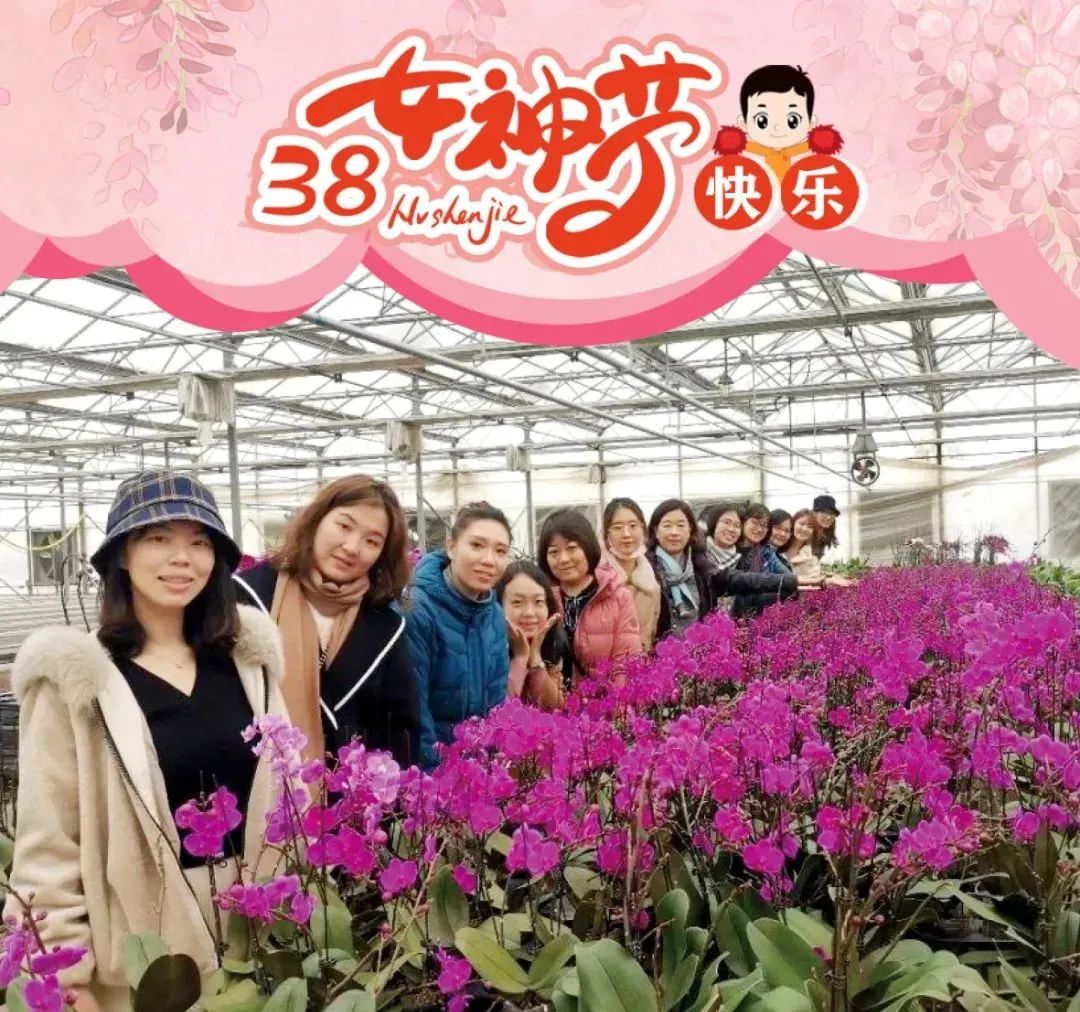 		三八节到乐无边，，，，，建材女神笑开颜_责任与文化_优德88集团有限公司	