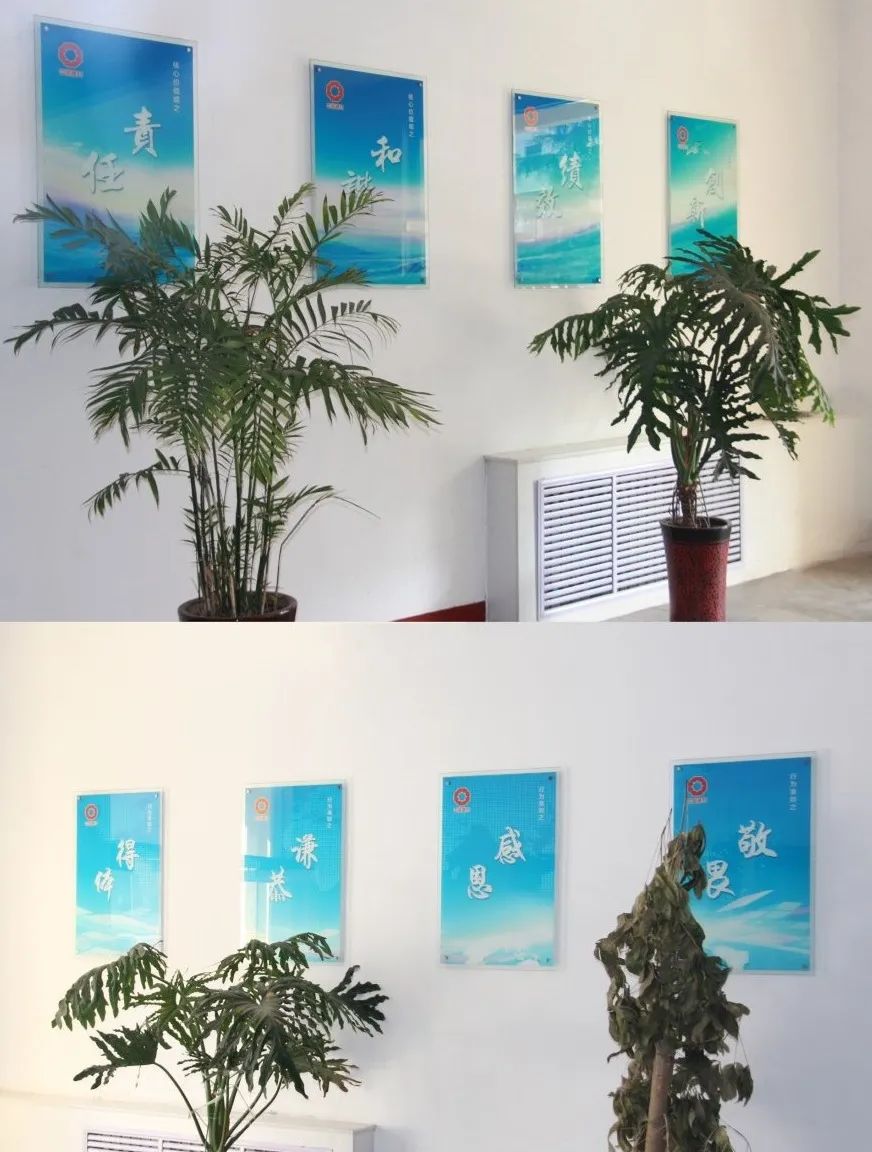 		企业文化宣贯 | 小料带你走进地勘中心，，感受他们的企业文化气氛_责任与文化_优德88集团有限公司	