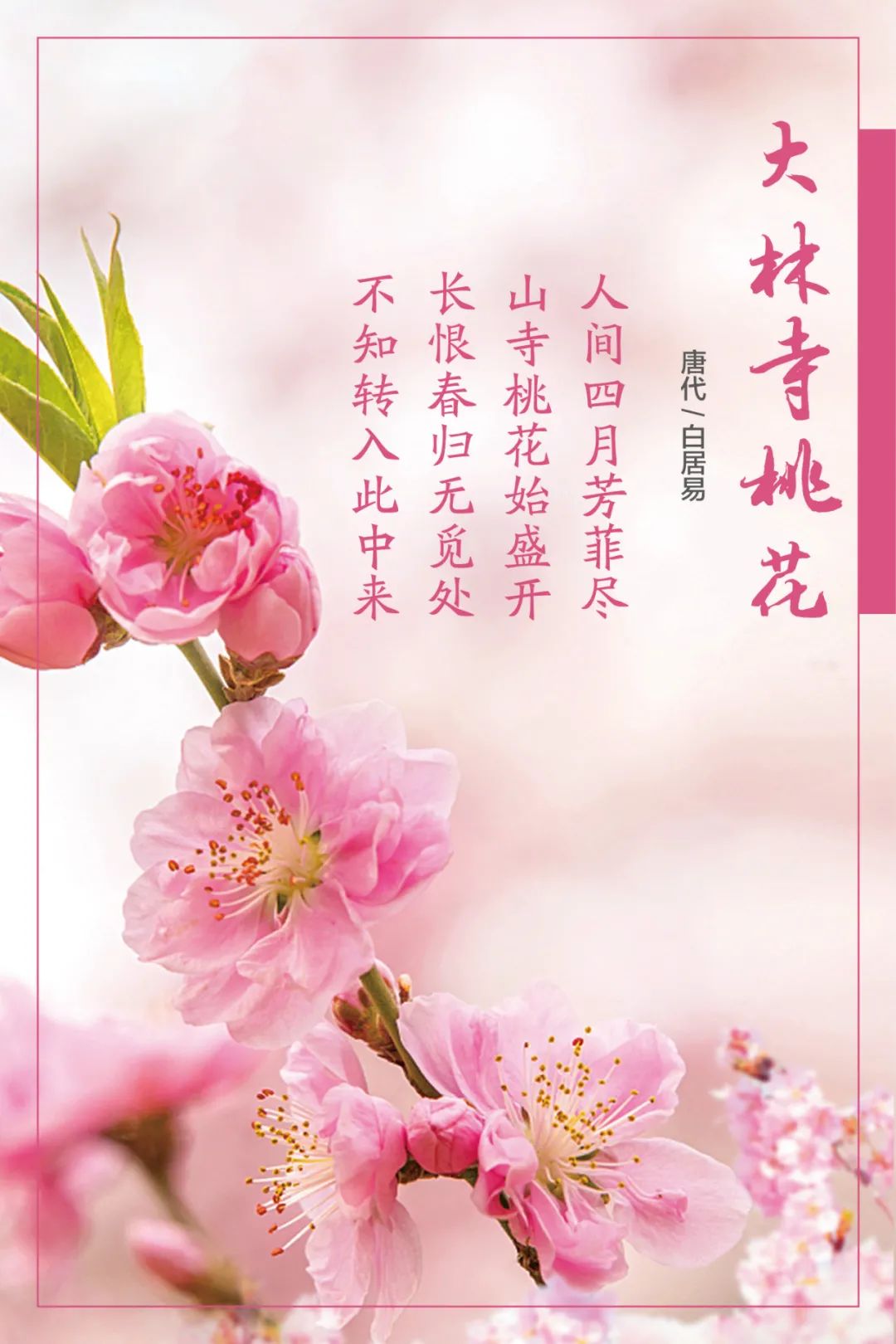 		清明，，，，，，来优德88工厂踏青赏花吧~_责任与文化_优德88集团有限公司	