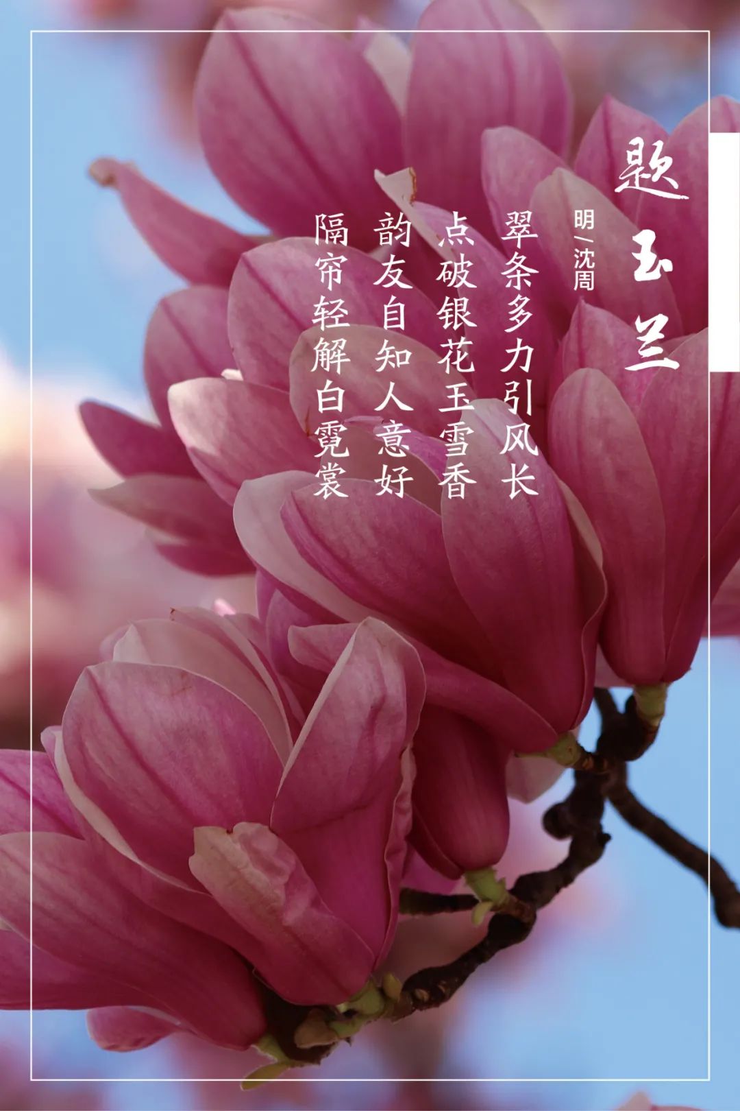 		清明，，，，，，来优德88工厂踏青赏花吧~_责任与文化_优德88集团有限公司	