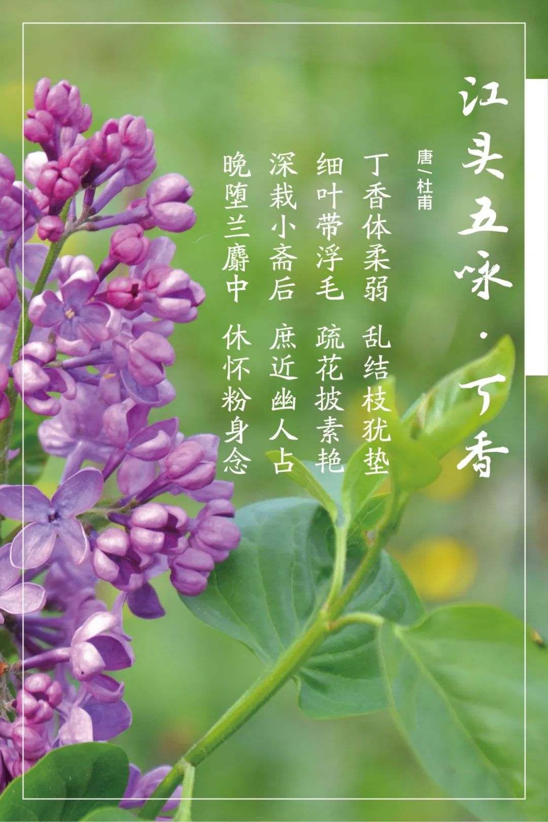 		清明，，，，，，来优德88工厂踏青赏花吧~_责任与文化_优德88集团有限公司	