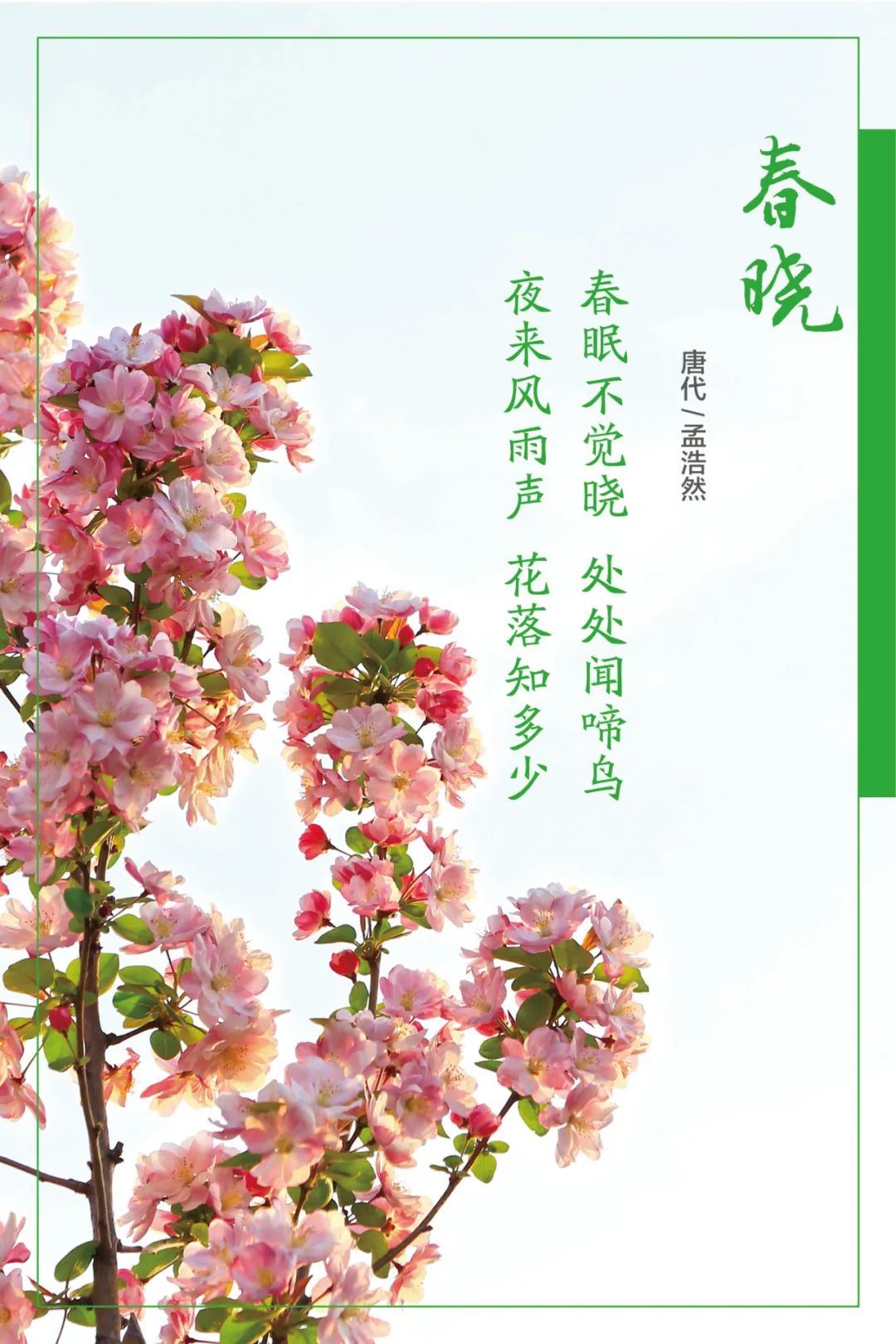 		清明，，，，，，来优德88工厂踏青赏花吧~_责任与文化_优德88集团有限公司	