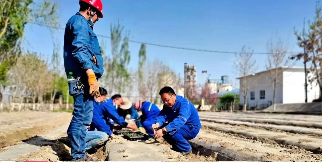 		办实事，，，解难题，，，增强职工群众的获得感、幸福感、清静感！_员工关爱_优德88集团有限公司	