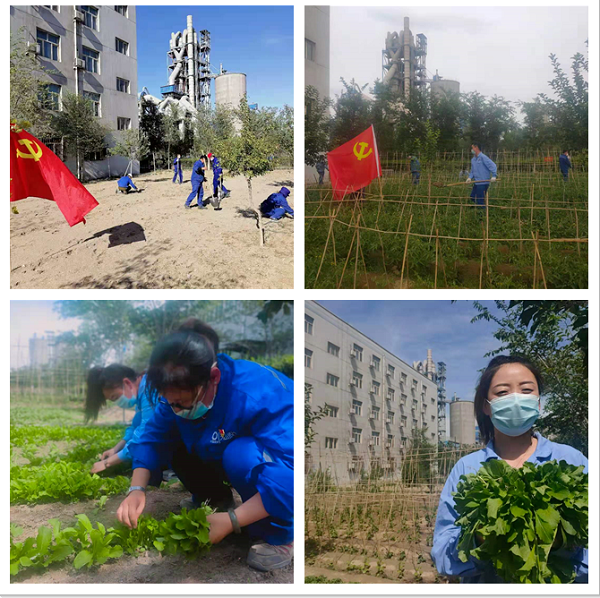 		学党史 讲党课 办实事③ | 优德88集团立异开展党史学习教育_企业动态_优德88集团有限公司	