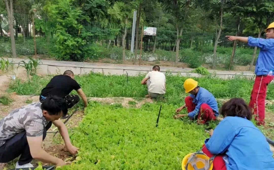 		办实事 暖人心 | 宁夏建材：专心用情解决好员工用餐问题_办实事暖人心_优德88集团有限公司	