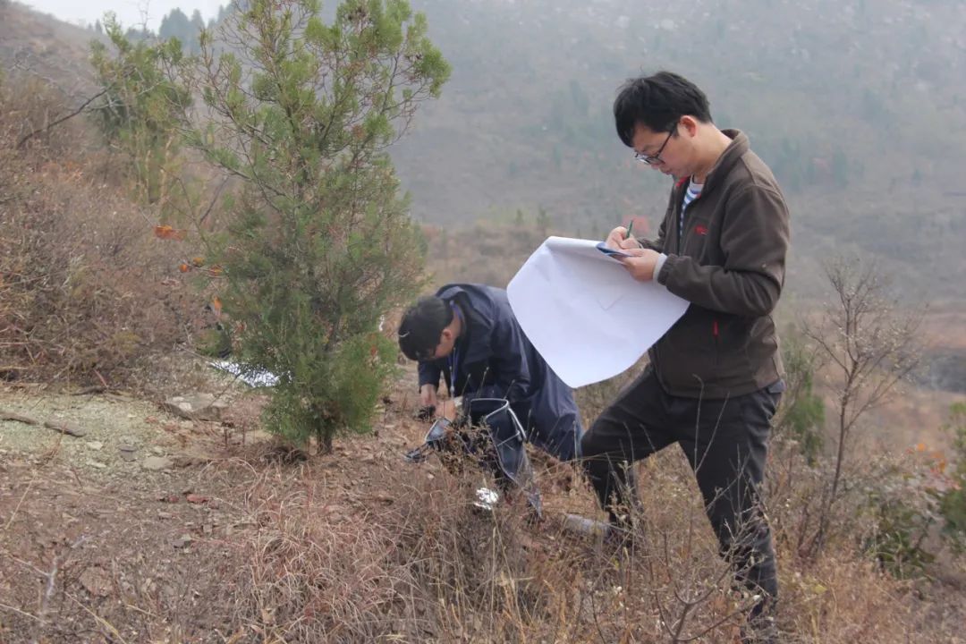 		最美建材人 | 地勘中心四川总队高显忠：扎根野外一线13年 为地勘事业作孝顺_故事_优德88集团有限公司	