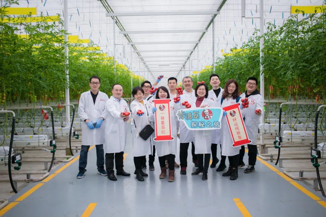 		办实事 暖人心 |优德88工程：科技助力“三农”，，，数字赋能“植物工厂”，，，为墟落振兴“办实事”_故事_优德88集团有限公司	