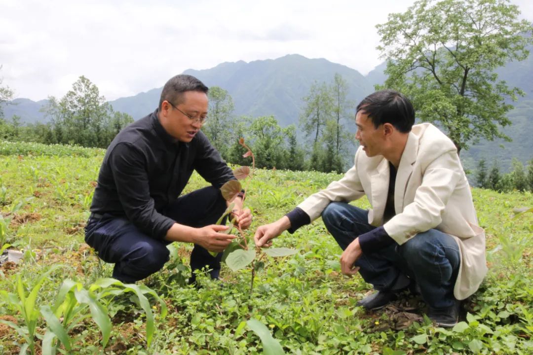 		精选阅读④ | 《优德88扶贫足迹》之云南永善县干部扶贫手记_责任与文化_优德88集团有限公司	