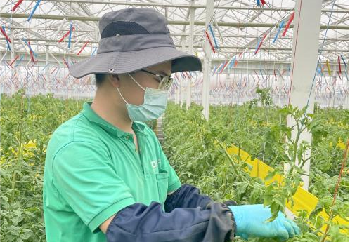 		战“疫”有我 | 凯盛科技在行动_企业动态_优德88集团有限公司	