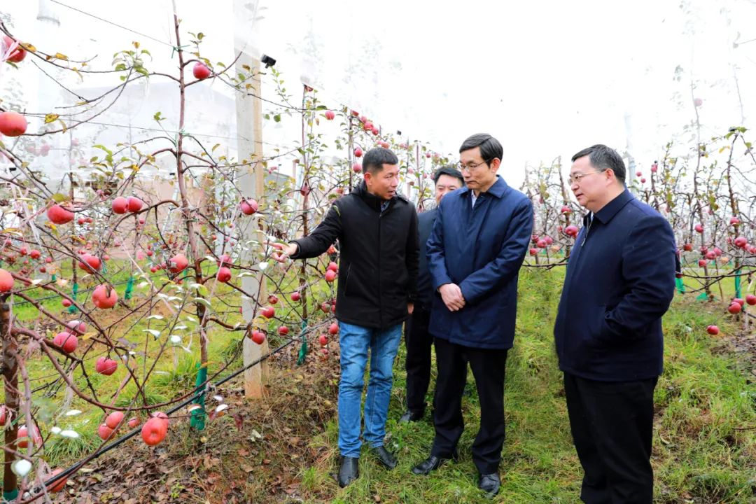 		再交优异答卷！优德88获中央单位定点帮扶事情最高评价等次“好”！_幻灯片_优德88集团有限公司	