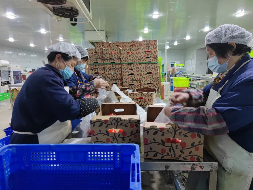 		最美抗疫自愿者 | 凯盛科技刘元军：自告奋勇、微光成炬，，战疫保供的螺丝钉_人物_优德88集团有限公司	
