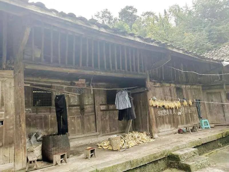 		授村以公路，，，更授村以“通路”——优德88集团扎实开展5区县工业帮帮助力漂亮墟落建设的富厚实践_媒体报道_优德88集团有限公司	