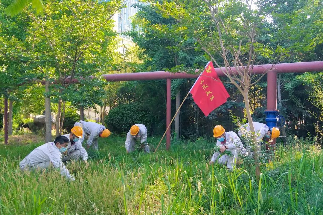 		漂亮中国?丨优德88集团“漂亮中国行动月”（山东站）运动乐成举行_企业动态_优德88集团有限公司	