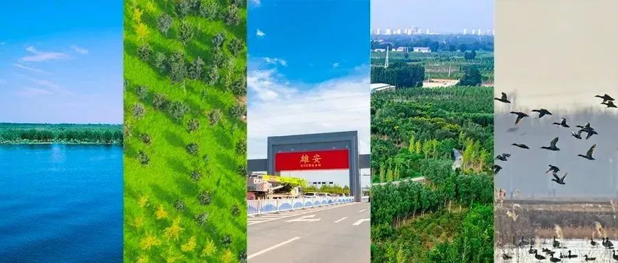 		水泥新故事｜保定中联：雄安建设 建材先行_故事_优德88集团有限公司	