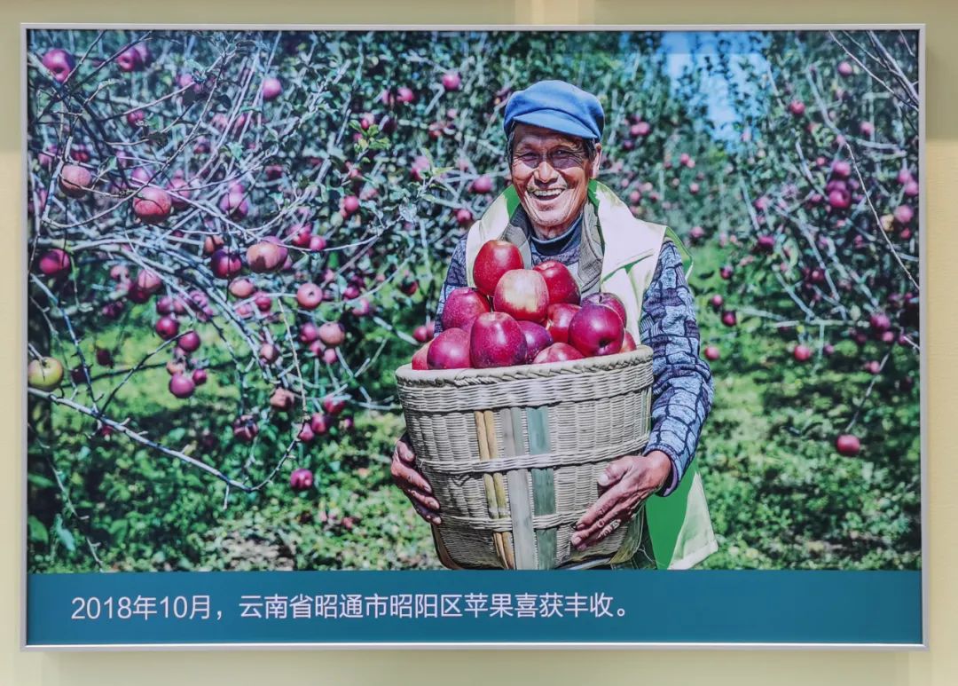  优德88集团干部职工旅行“奋进新时代”主题成绩展丨29项建材元素突出立异与责任_喜迎二十大幻灯片_优德88集团有限公司 
