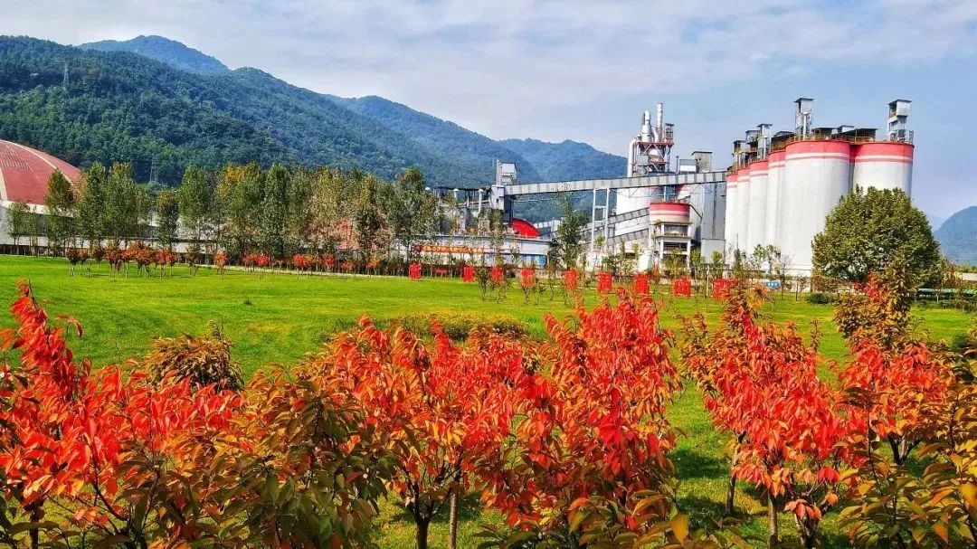 		偶遇建材之秋 惊喜每个瞬间_图片_优德88集团有限公司	