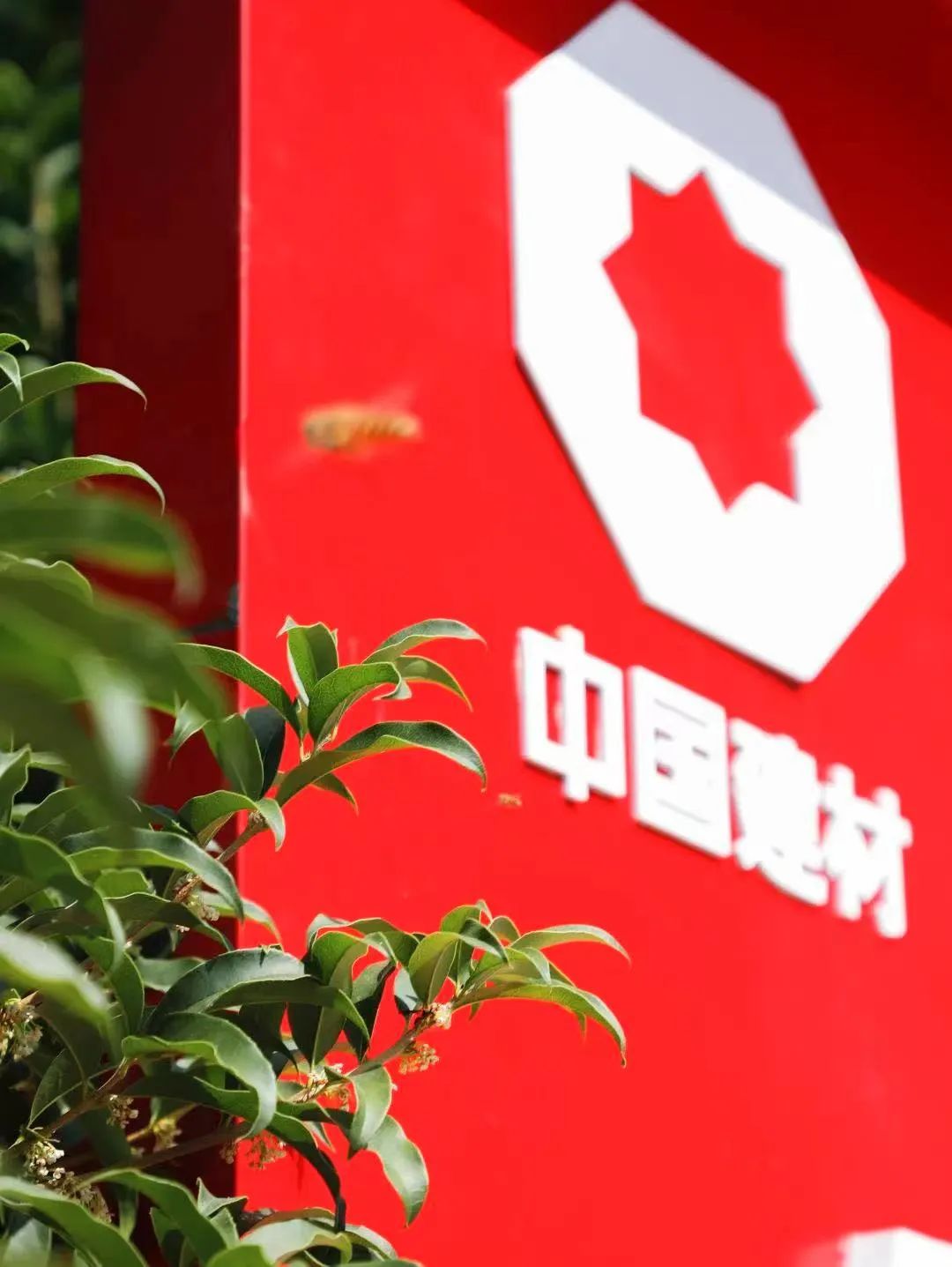 		偶遇建材之秋 惊喜每个瞬间_图片_优德88集团有限公司	