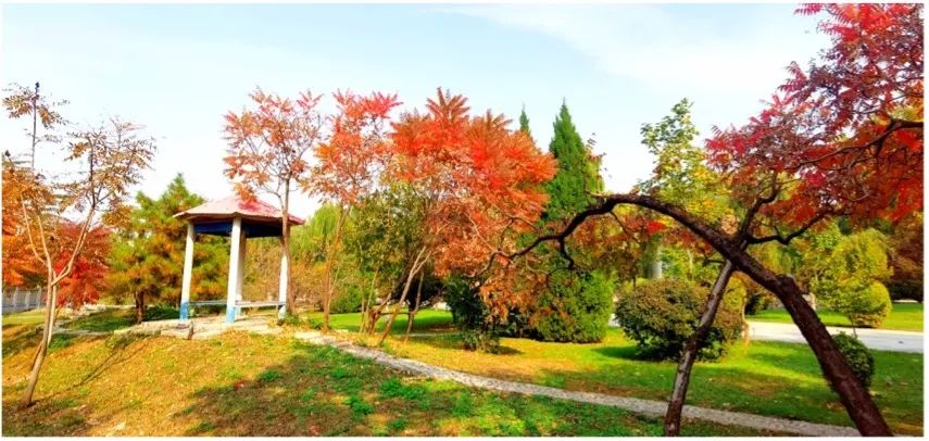 		偶遇建材之秋 惊喜每个瞬间_图片_优德88集团有限公司	