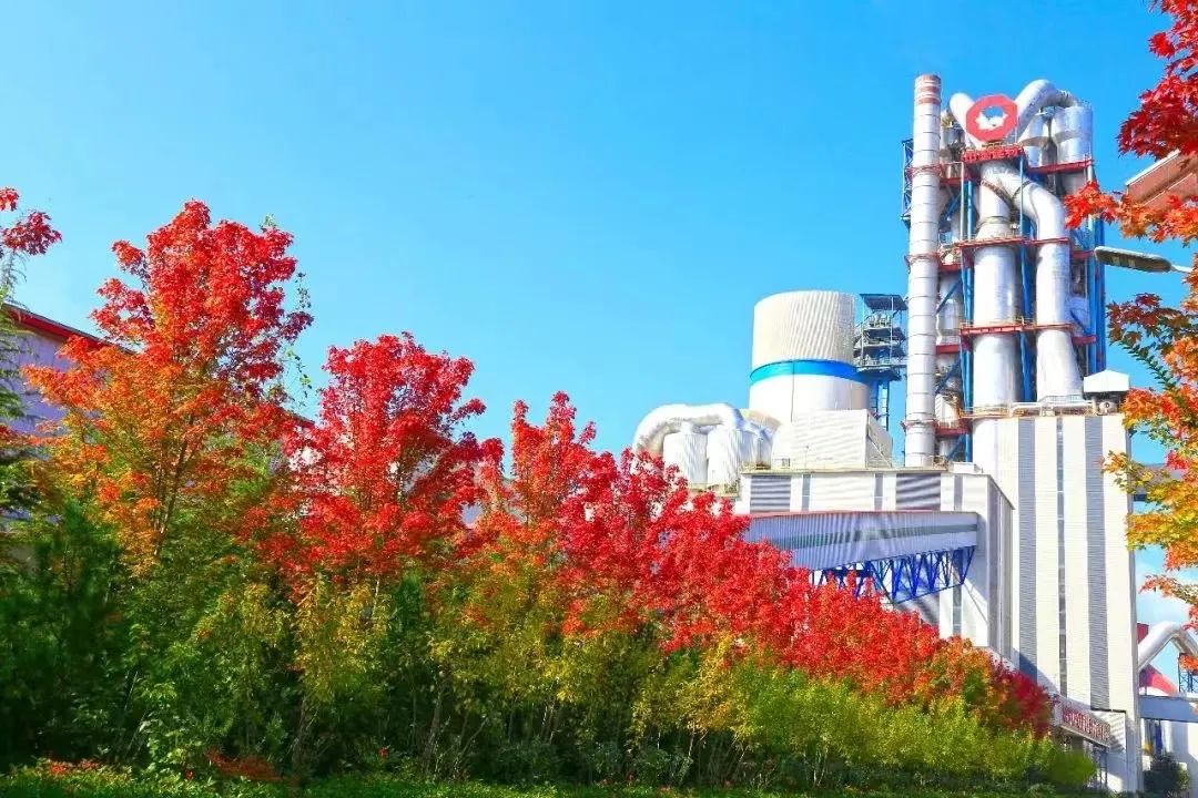 		偶遇建材之秋 惊喜每个瞬间_图片_优德88集团有限公司	