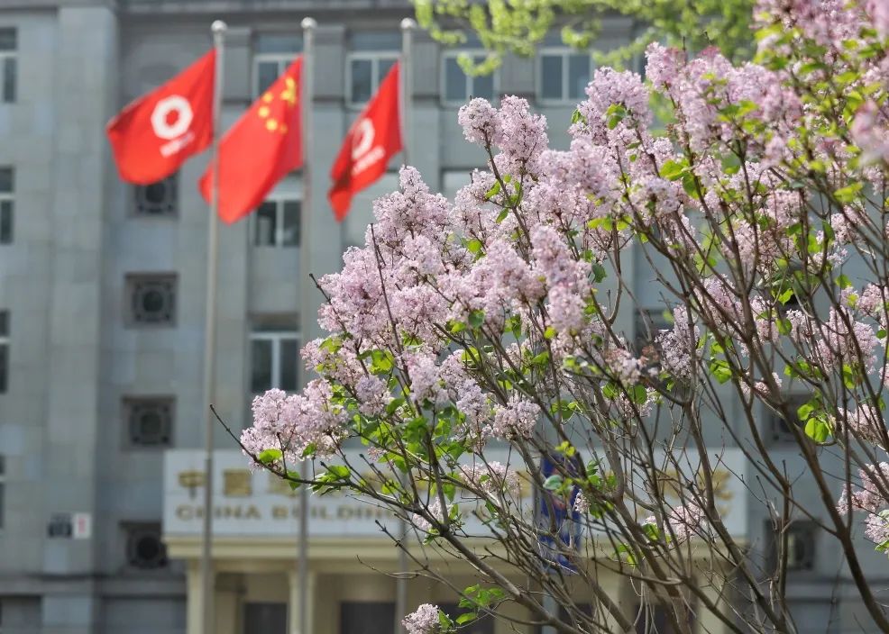 		热爱无边际，，生涯有“材”情_责任与文化_优德88集团有限公司	