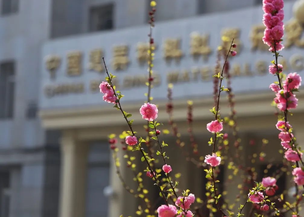 		热爱无边际，，生涯有“材”情_责任与文化_优德88集团有限公司	