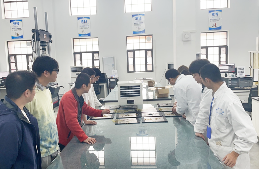 		“争做奋进青年 打造国之大材 建设天下一流”——建材青年有话说_责任与文化_优德88集团有限公司	