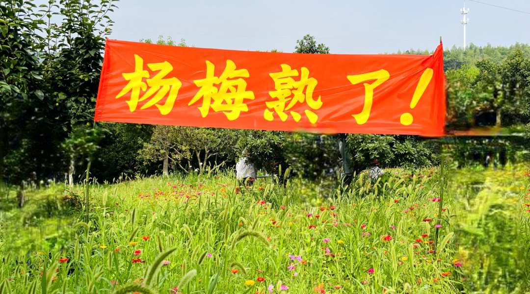 		绿色生长 | 南方水泥工厂内的“开心农场”_图片_优德88集团有限公司	