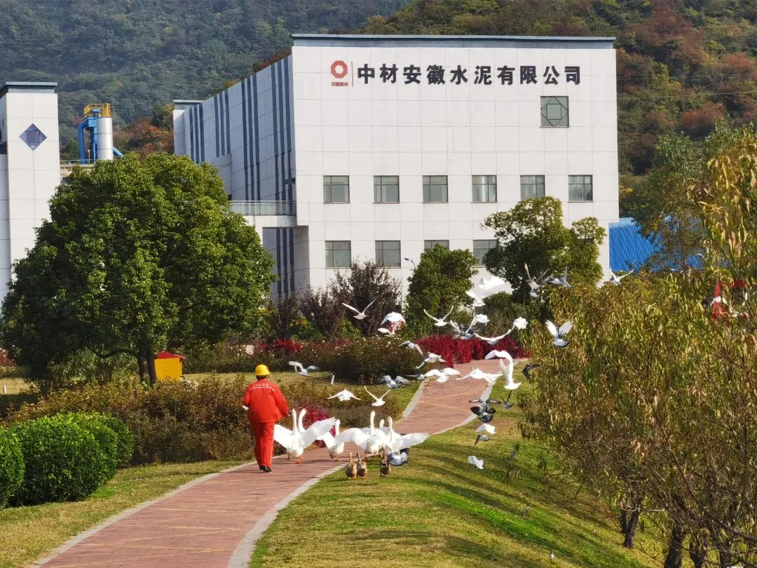 		绿色生长 | 南方水泥工厂内的“开心农场”_图片_优德88集团有限公司	