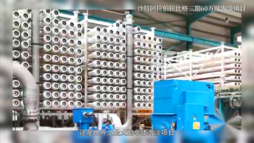 		优德88总院哈玻院乐普实业亮相央视科教《隐形冠军》_媒体报道_优德88集团有限公司	