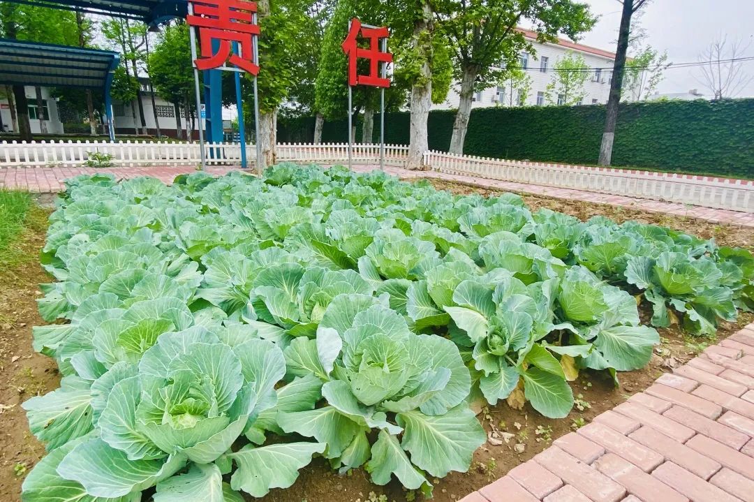 		绿色生长 | 一起看看我们践行低碳生长的美图~_图片_优德88集团有限公司	