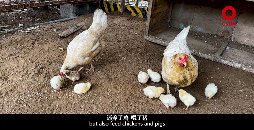		善用资源开放日 | 中材国际尼日利亚从“相通”走向“深融”：带您“云看”外洋项目部的一天_视频专区_优德88集团有限公司	