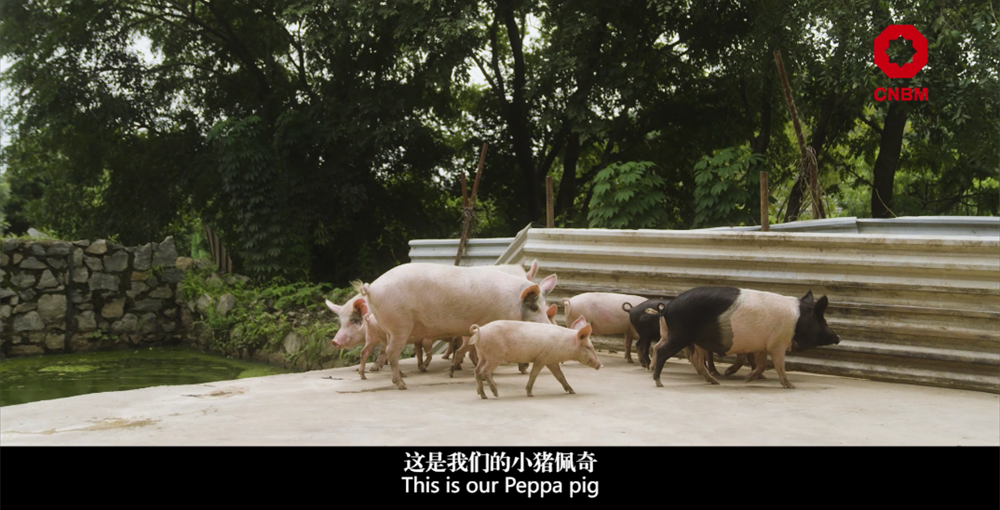 		善用资源开放日 | 中材国际尼日利亚从“相通”走向“深融”：带您“云看”外洋项目部的一天_视频专区_优德88集团有限公司	